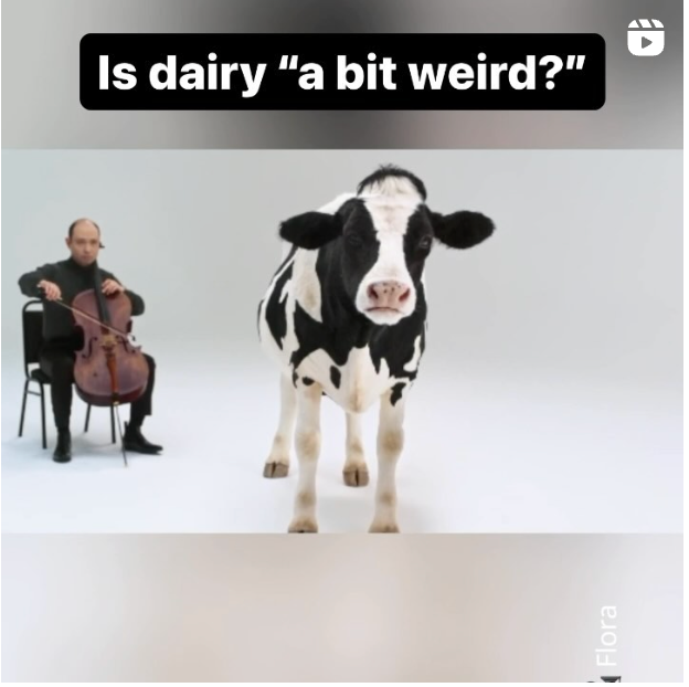 Is dairy a bit weird? @Flora